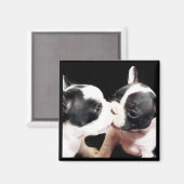 フランスの犬の子犬 マグネット (正面/裏面)