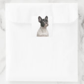 フランスの犬の子犬（5カ月） スクエアシール (バッグ)