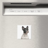 フランスの犬の子犬(5カ月) マグネット (インサイチュ (食洗機))
