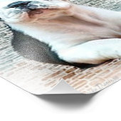 フランスの犬 フォトプリント            (角)