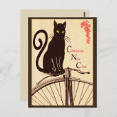 フランスの猫はがき ポストカード (正面/裏面)