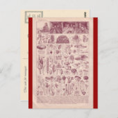 フランスの百科事典1920、キノコ ポストカード (正面/裏面)