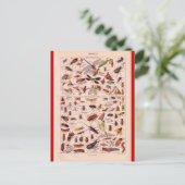 フランスの百科事典1920、昆虫 ポストカード (スタンド正面)