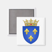 フランスの紋章 マグネット (正面/裏面)