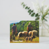 フランスの羊飼い ポストカード (スタンド正面)