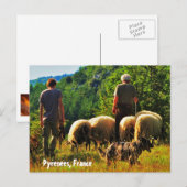 フランスの羊飼い ポストカード (正面/裏面)