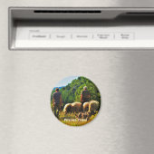 フランスの羊飼い マグネット (インサイチュ (食洗機))