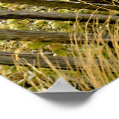 フランスの背の高い金ゴールドの草 ポスター (角)