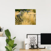 フランスの背の高い金ゴールドの草 ポスター (ホームオフィス)