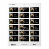 フランスの船便ラベル ラベル (フルシート)