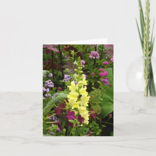 フランスの花 カード (正面)