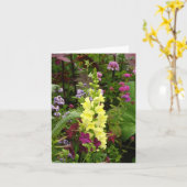 フランスの花 カード (黄色い花)