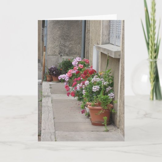 フランスの花 カード (正面)