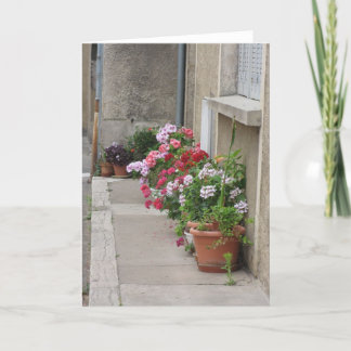 フランスの花 カード