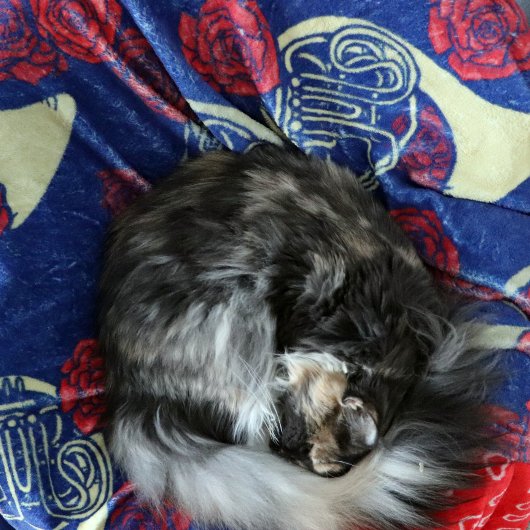 フランスの角 フリースブランケット