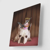 フランスの誕生日カップケーキ付きブルドッグ スクエア壁時計 (傾斜)