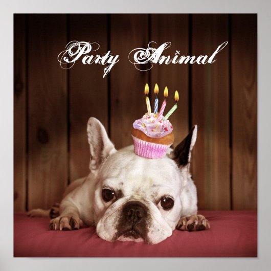 フランスの誕生日カップケーキ付きブルドッグ ポスター (正面)