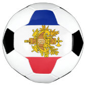 フランスの象徴 サッカーボール (回転)