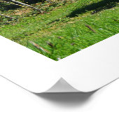 フランスの農場のトラクター ポスター (角)