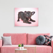 フランスの間抜けBulldog Puppyの準備ができて遊いる キャンバスプリント (インサイチュ (リビング))