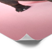 フランスの間抜けBulldog Puppyの準備ができて遊いる ポスター (角)