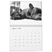 フランスのBulldog Calendar 2023写真の追加 カレンダー (2月 2017)
