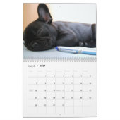 フランスのBulldog Calendar 2023写真の追加 カレンダー (3月 2027)