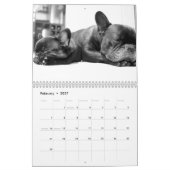 フランスのBulldog Calendar 2023写真の追加 カレンダー (2月 2027)
