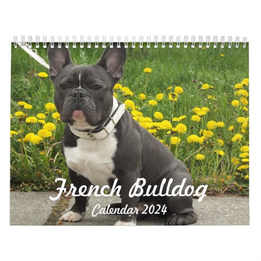 フランスのBulldog Calendar 2024写真の追加 カレンダー (カバー)