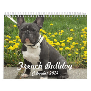 フランスのBulldog Calendar 2024写真の追加 カレンダー