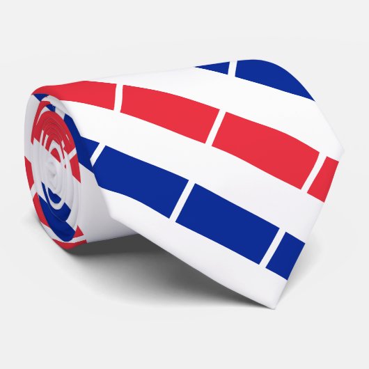 フランスフラグ ネクタイ (ロール)