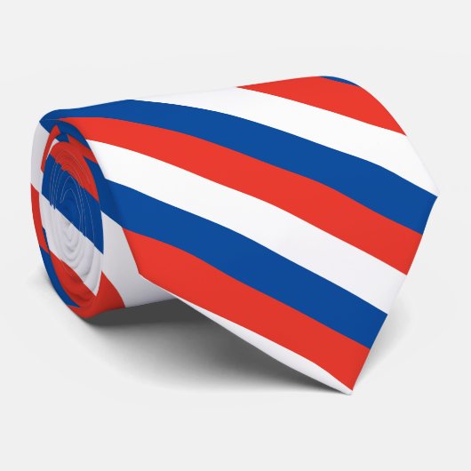 フランスフラグ ネクタイ (ロール)