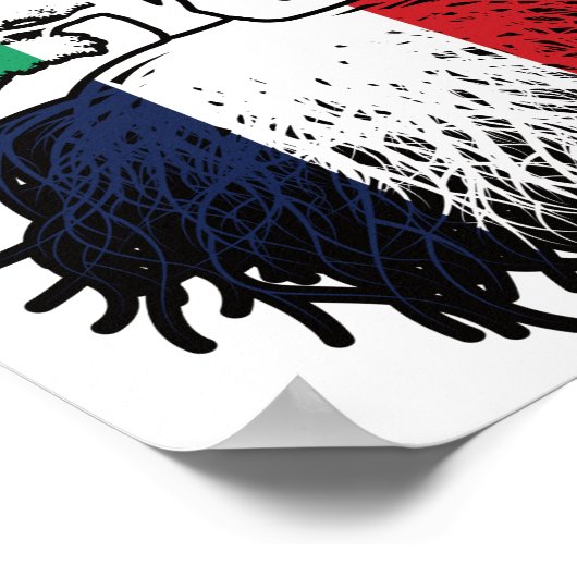 フランスフランスのアイルランドの木のルーツ国旗 ポスター (角)