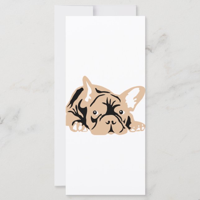 フランスブルドッグ (正面)