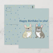 フランスブルドッグ、お誕生日おめでとう ポストカード (正面/裏面)