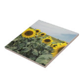 フランスプロヴァンス、ひまわりの風景 タイル (側面)