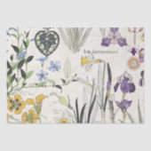 フランス人のアールヌーボーのアイリスによってはティッシュペーパーが開花します 薄葉紙 (正面)