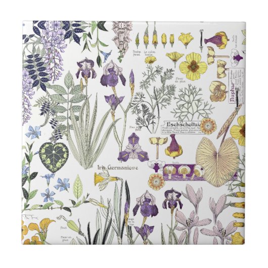 フランス人のアールヌーボーのヴィンテージの花のセラミックタイル タイル (正面)