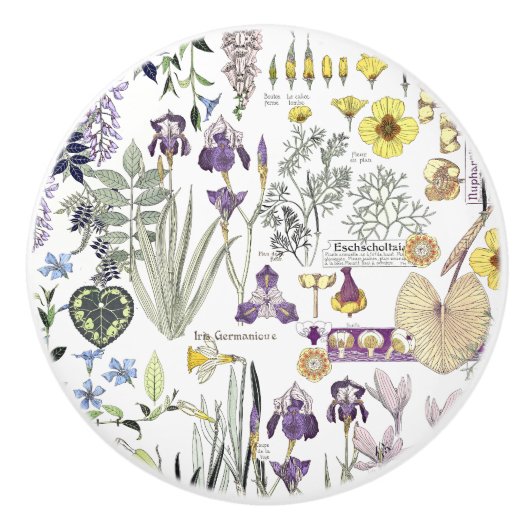 フランス人のアールヌーボーのヴィンテージの花の陶磁器のノブ セラミックノブ (正面)