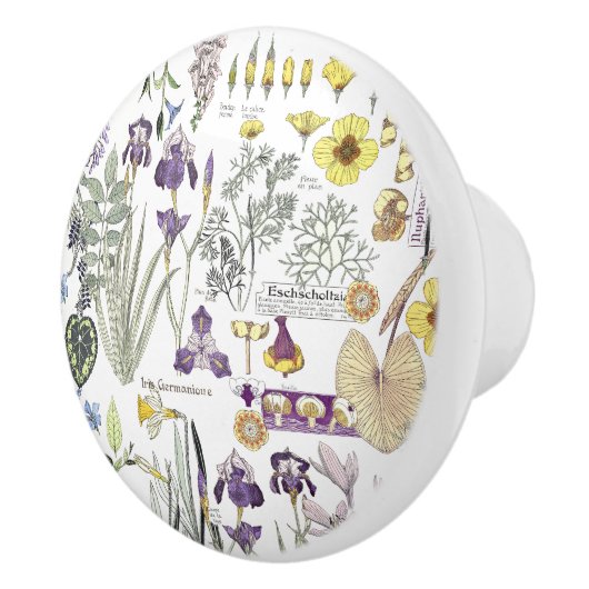 フランス人のアールヌーボーのヴィンテージの花の陶磁器のノブ セラミックノブ (右)