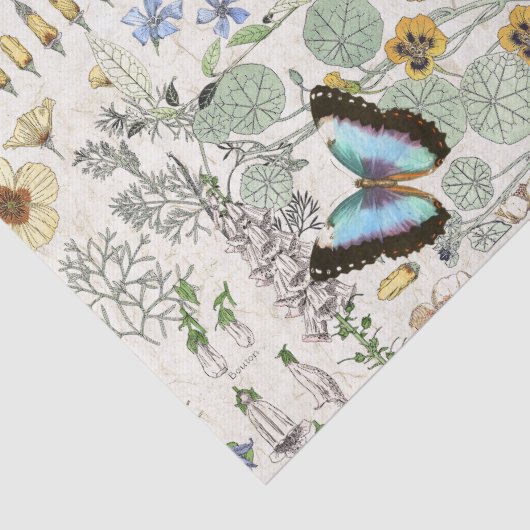フランス人のアールヌーボーの蝶花のティッシュペーパー 薄葉紙 (詳細)
