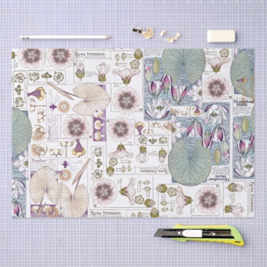 フランス人のアールヌーボーの《植物》スイレンによってはティッシュペーパーが開花します 薄葉紙 (クラフト)