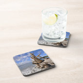 フランス人のビーチの海岸線の流木 コースター (右側)