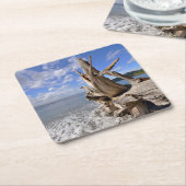 フランス人のビーチの海岸線の流木 スクエアペーパーコースター (アングル)