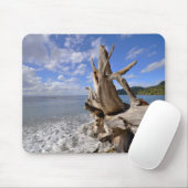 フランス人のビーチの海岸線の流木 マウスパッド (マウス)