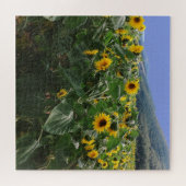 フランス南部のひまわり畑 ジグソーパズル (横)