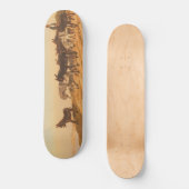 フランス南部のロバ(Eugene Burnand著) スケートボード (正面)