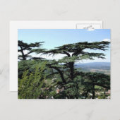 フランス南部 ポストカード (正面/裏面)