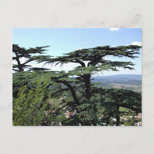 フランス南部 ポストカード (正面)