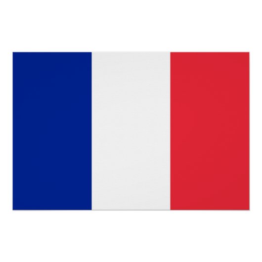 フランス国旗を掲げた愛国的なポスター ポスター (正面)